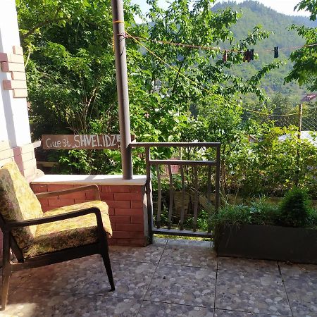Guest House Shvelidze Bordjomi Extérieur photo