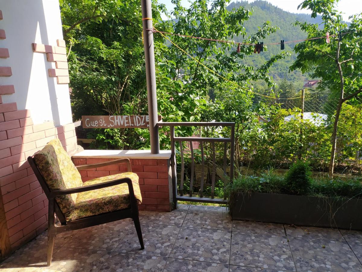 Guest House Shvelidze Bordjomi Extérieur photo