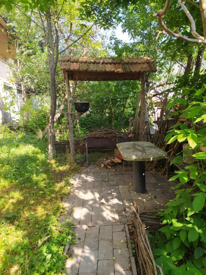 Guest House Shvelidze Bordjomi Extérieur photo