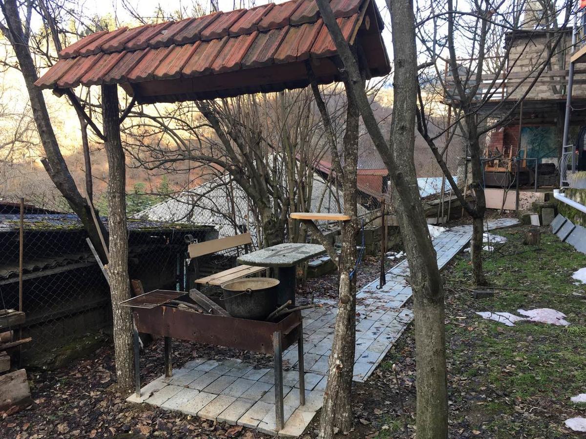 Guest House Shvelidze Bordjomi Extérieur photo