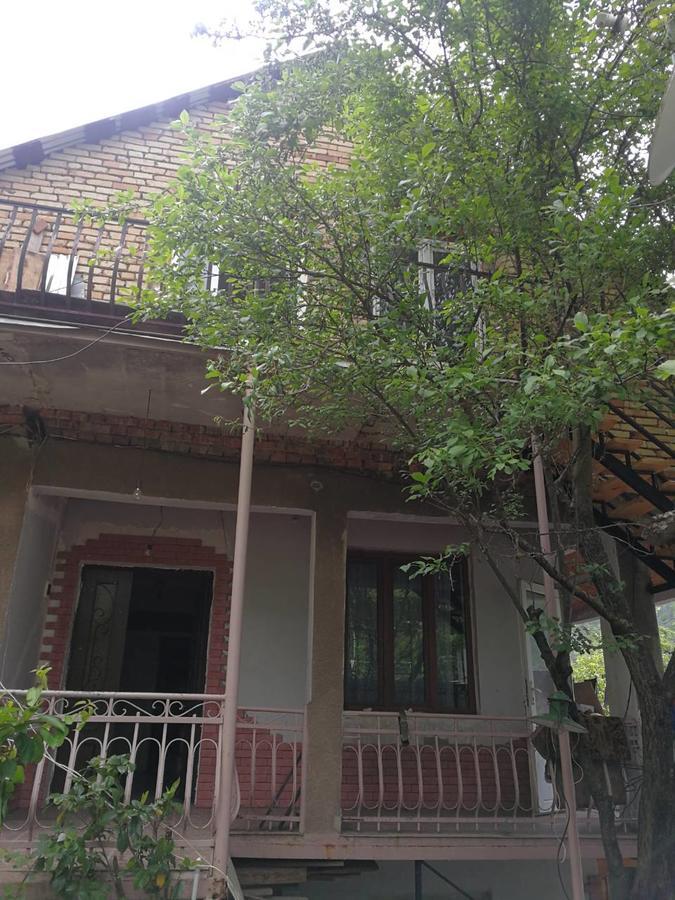 Guest House Shvelidze Bordjomi Extérieur photo