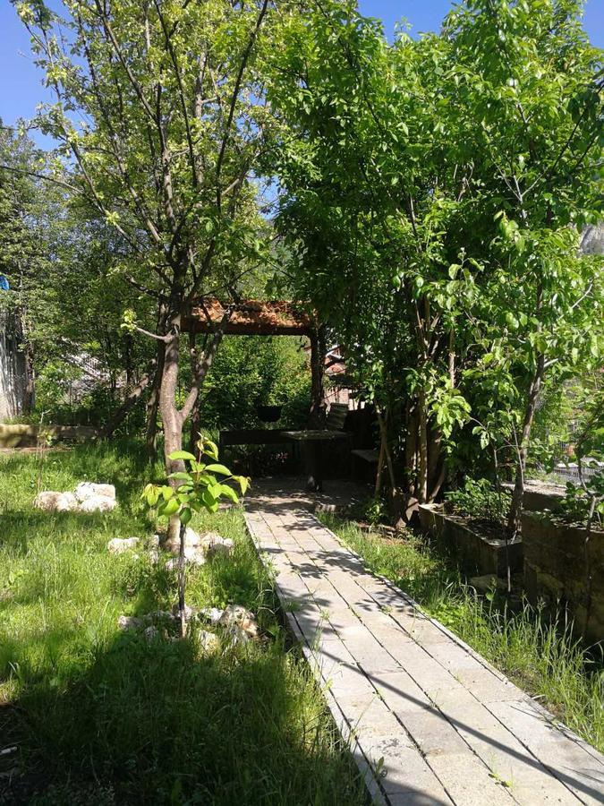 Guest House Shvelidze Bordjomi Extérieur photo