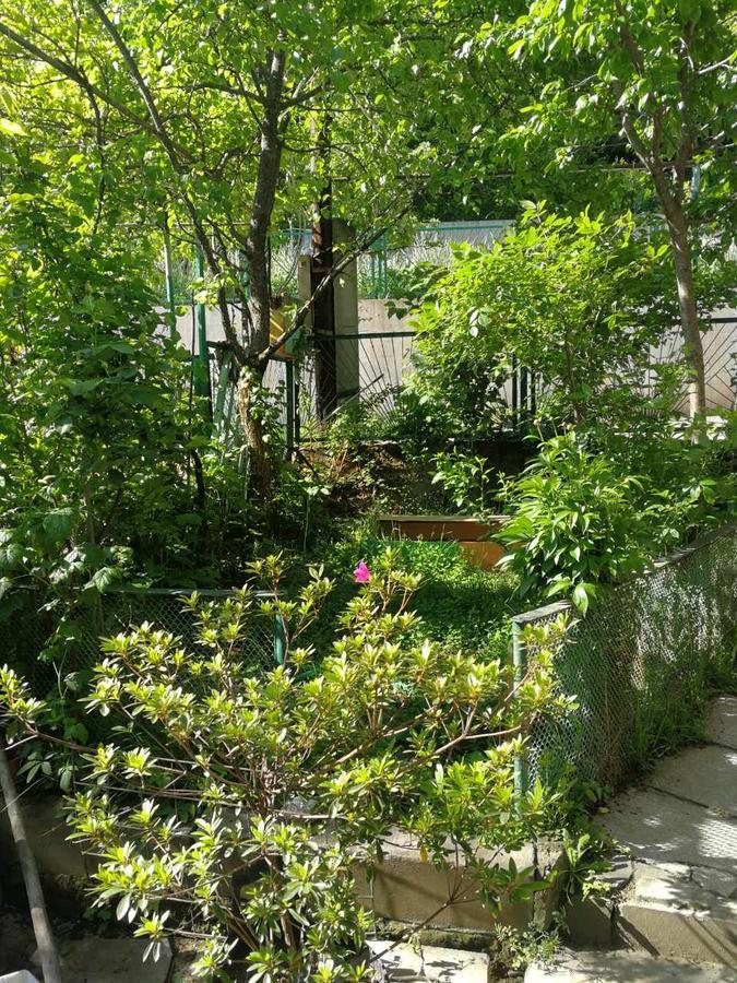 Guest House Shvelidze Bordjomi Extérieur photo
