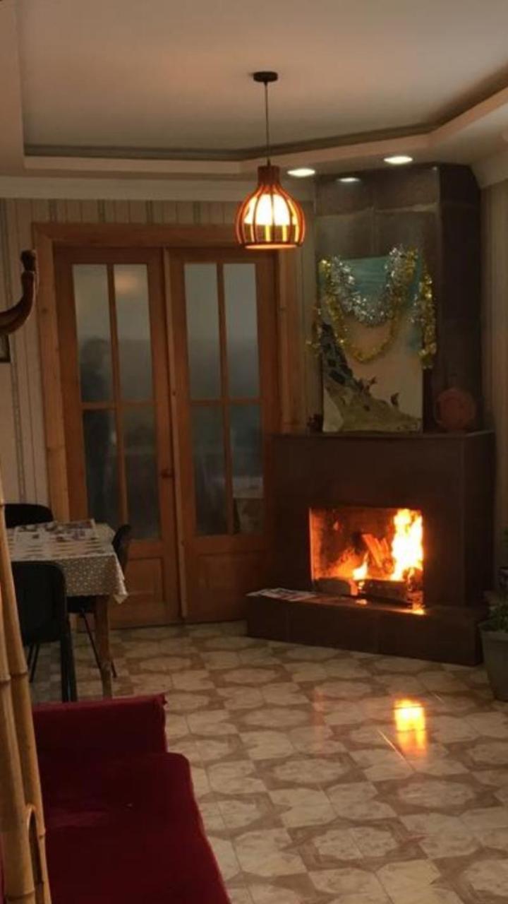 Guest House Shvelidze Bordjomi Extérieur photo